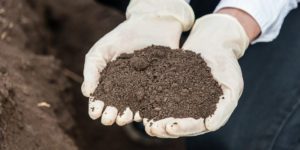 Bio soil benefits & construction companies using it